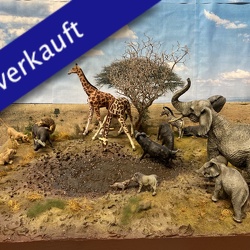 Am Wasserloch, Afrika  (verkauft)
